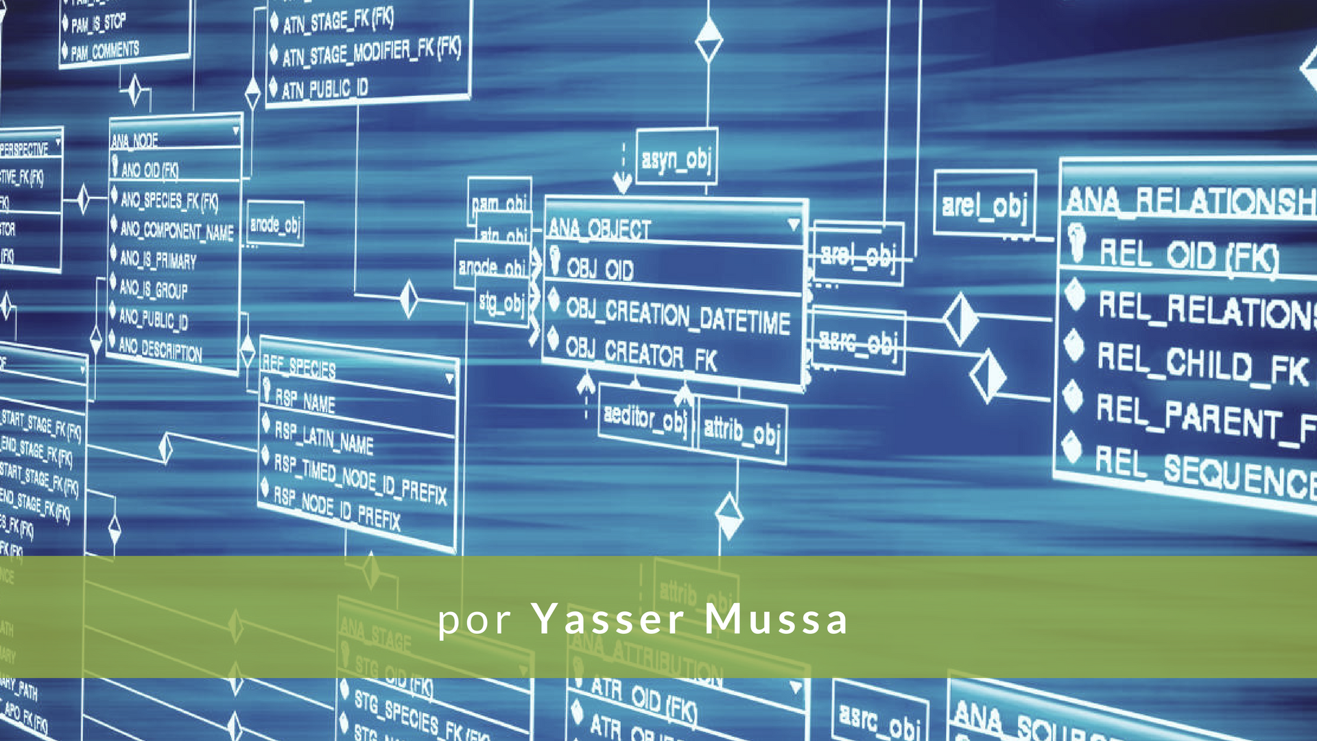MySql uno de los gestores de base de datos más utilizado